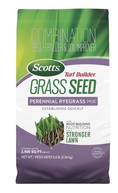 Scotts&reg; Turf Builder&reg; Grass Seed Perennial Ryegrass Mix