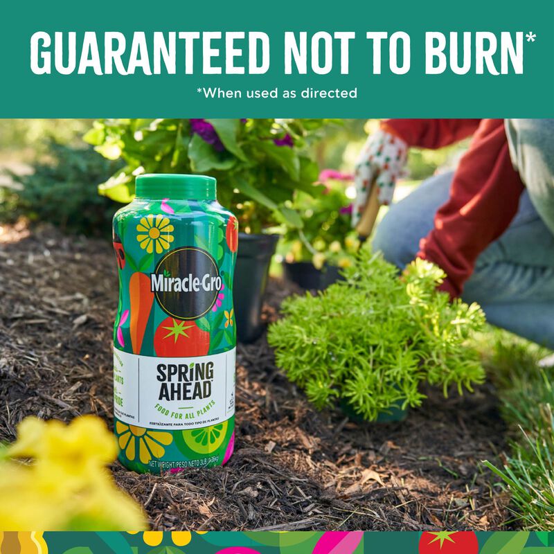 Miracle-Gro&reg; Spring Ahead image number null
