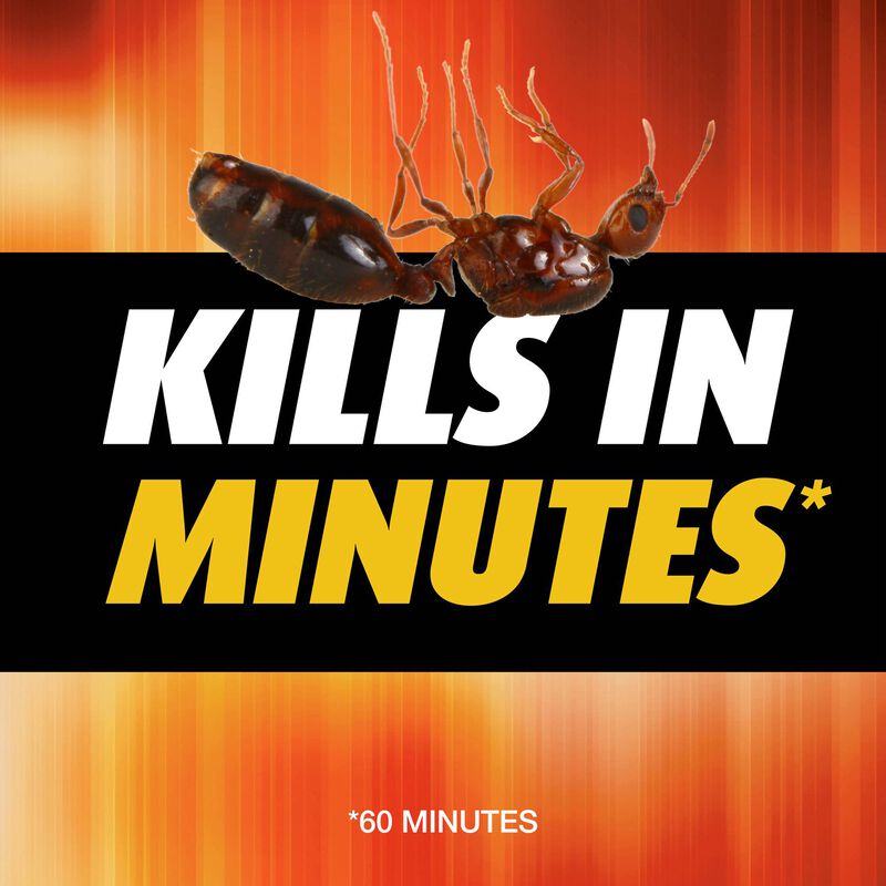 Ortho&reg; Orthene Fire Ant Killer₁ image number null