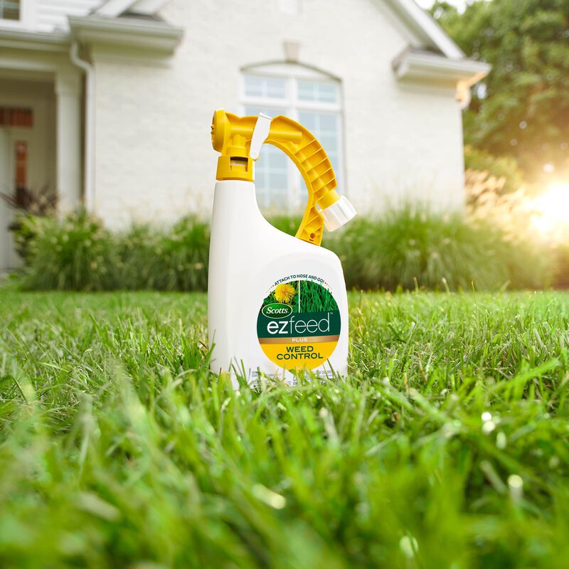 Scotts&reg; EZ Feed&trade; Plus Weed Control image number null