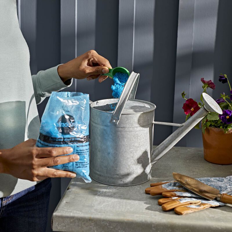 Miracle-Gro&reg; Water Soluble Bloom Booster&reg; Flower Food image number null