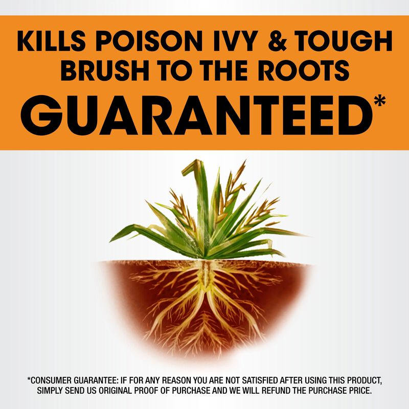 Roundup&reg; Poison Ivy Plus Tough Brush Killer₂ with Comfort Wand&reg; image number null