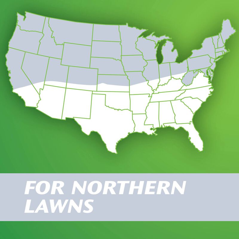 Scotts&reg; Turf Builder&reg; Grass Seed Quick Fix&reg; Mix image number null