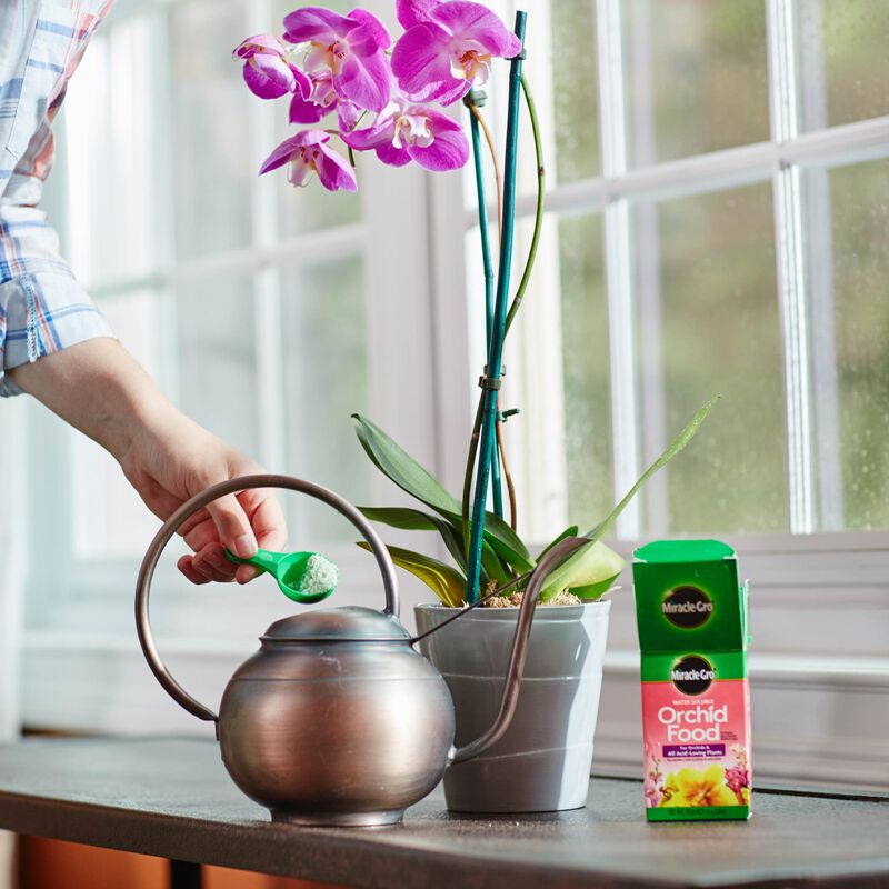 Miracle-Gro&reg; Water Soluble Orchid Food image number null