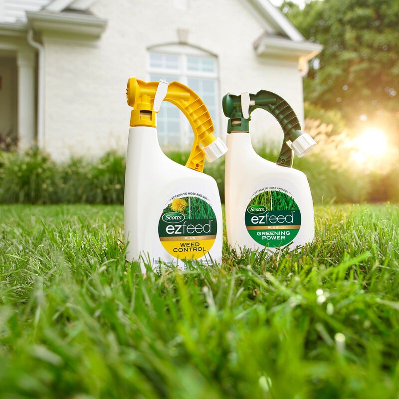 Scotts&reg; EZ Feed&trade; Plus Greening Power image number null