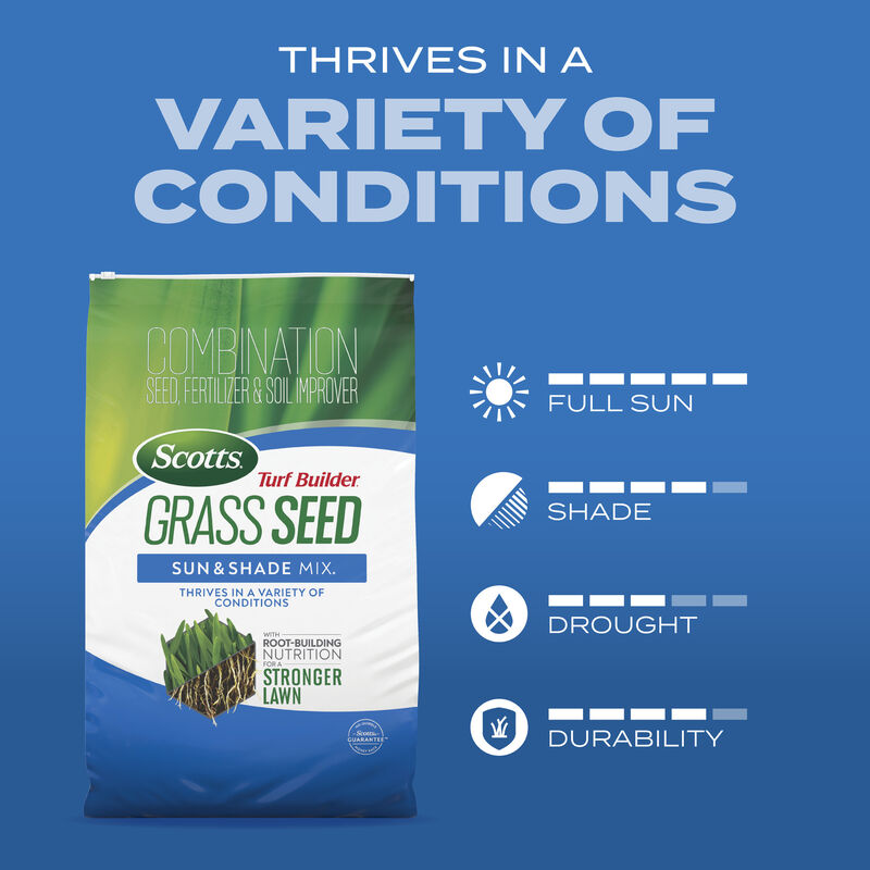 Scotts&reg; Turf Builder&reg; Grass Seed Sun & Shade Mix&reg; image number null