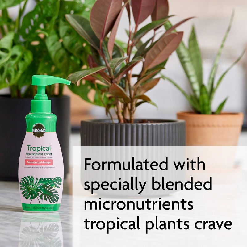 Miracle-Gro&reg; Tropical Houseplant Food image number null