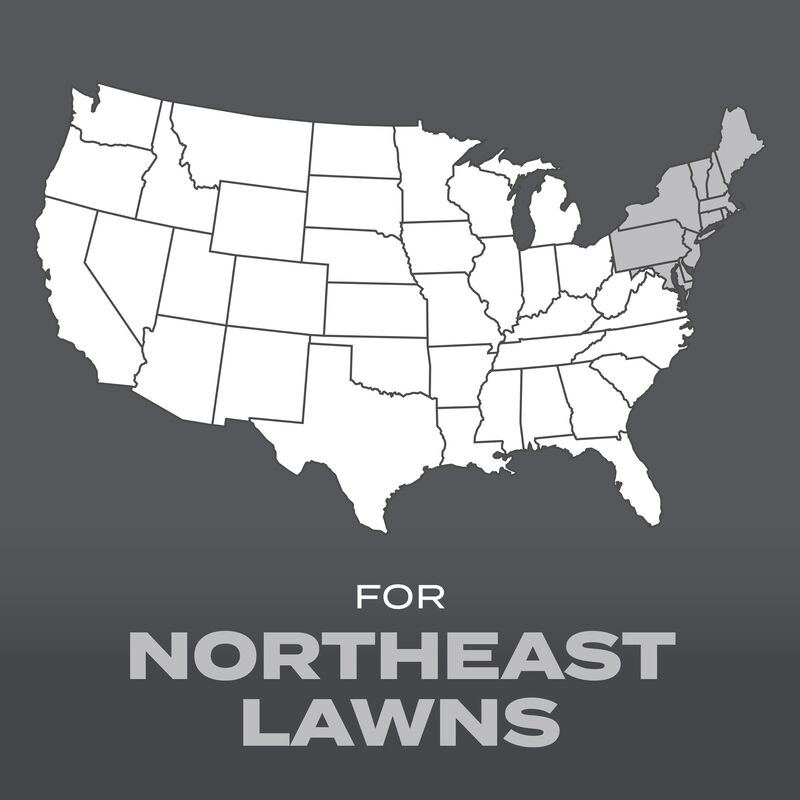 Scotts&reg; Turf Builder&reg; Grass Seed Northeast Mix image number null