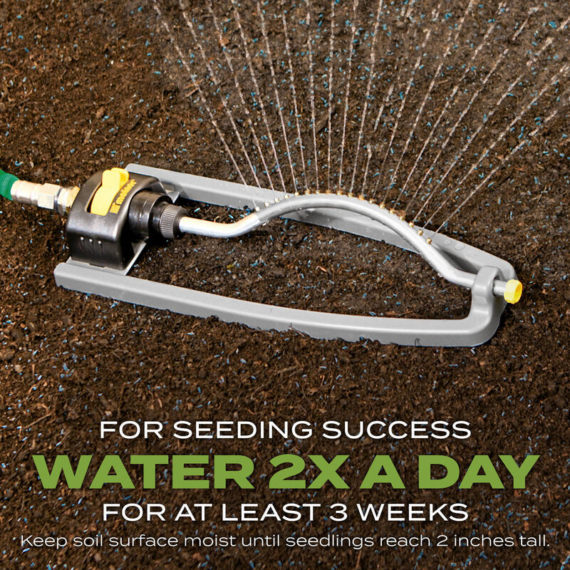 Scotts&reg; Turf Builder&reg; Grass Seed Tall Fescue Mix image number null