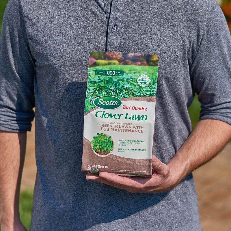 Scotts&reg; Turf Builder&reg; Clover Lawn image number null