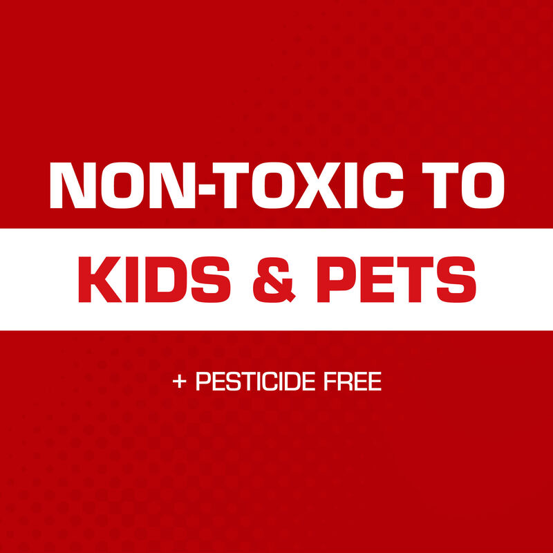 Tomcat&reg; Super Hold Glue Traps Mouse Size image number null