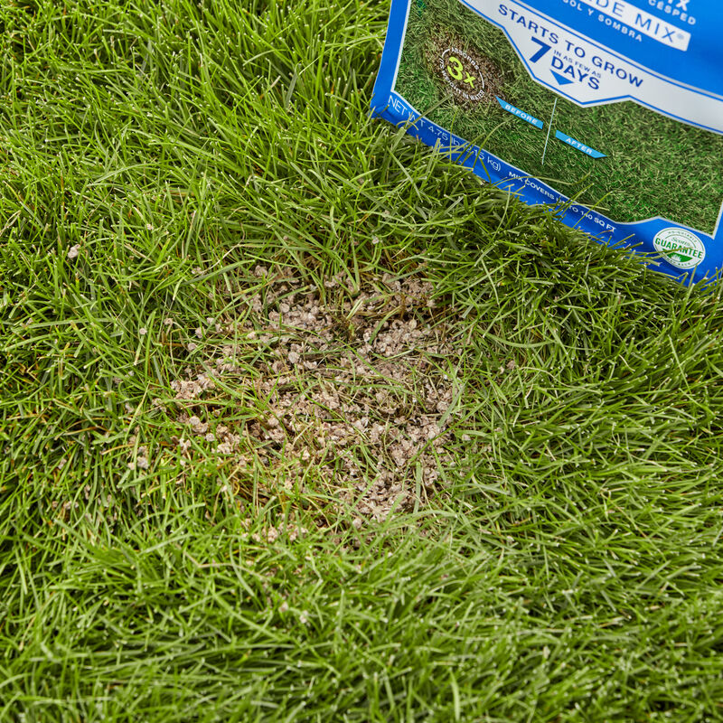 Scotts&reg; PatchMaster&reg; Lawn Repair Mix Sun + Shade Mix image number null