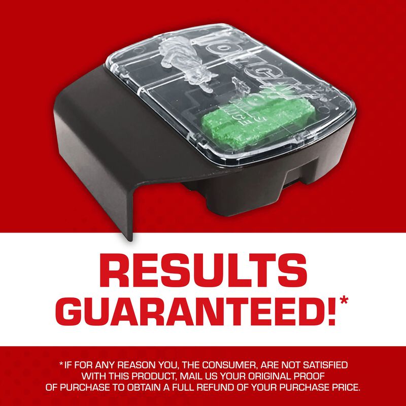 Tomcat&reg; Mouse Killer(e) Child Resistant, Refillable Station image number null