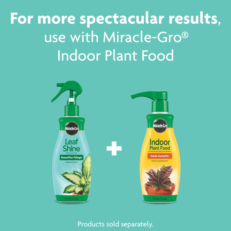 Miracle-Gro&reg; Leaf Shine image number null