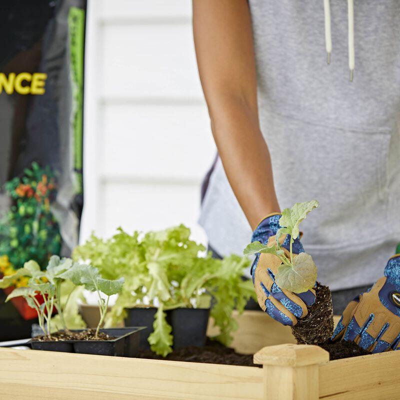 Miracle-Gro&reg; Performance Organics Raised Bed Mix image number null