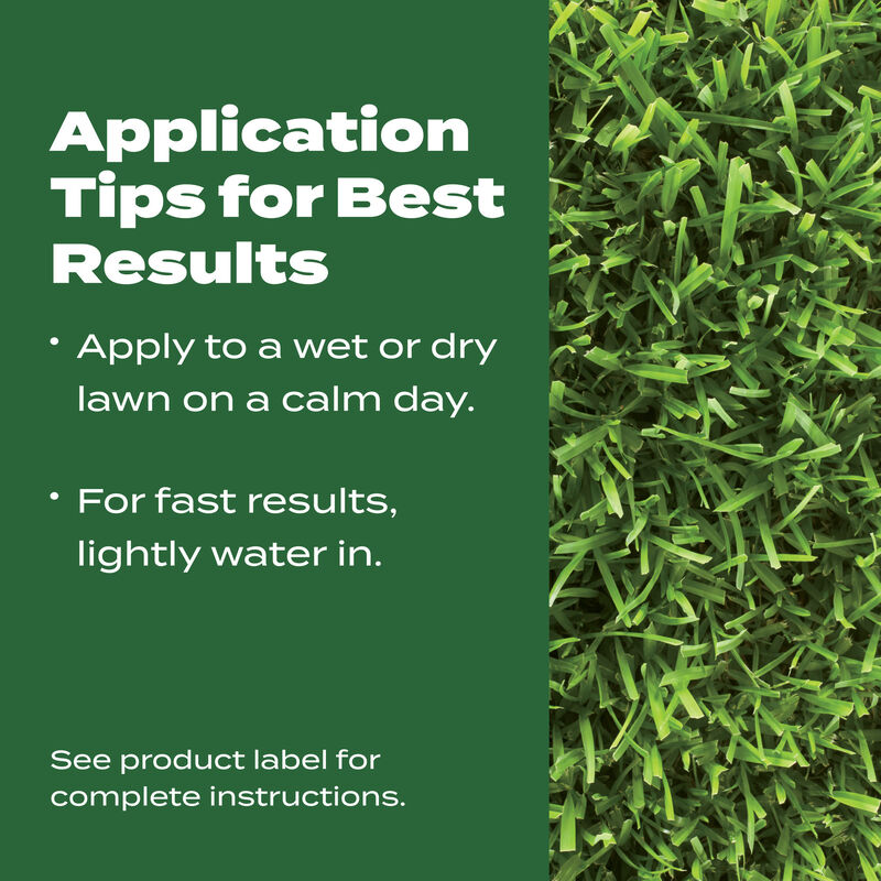 Scotts&reg; Southern Turf Builder&reg; Lawn Food image number null