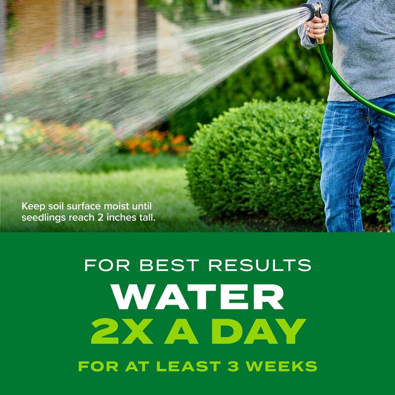 Scotts&reg; Turf Builder&reg; Rapid Grass&trade; Bermudagrass image number null