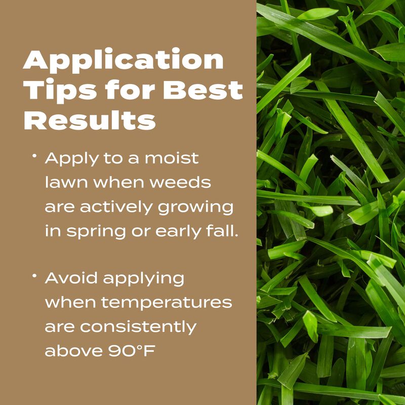 Scotts&reg; Turf Builder&reg; Weed & Feed for Texas Lawns image number null