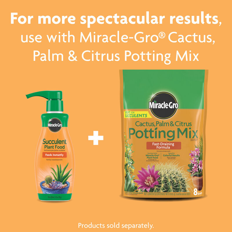Miracle-Gro&reg; Succulent Plant Food image number null