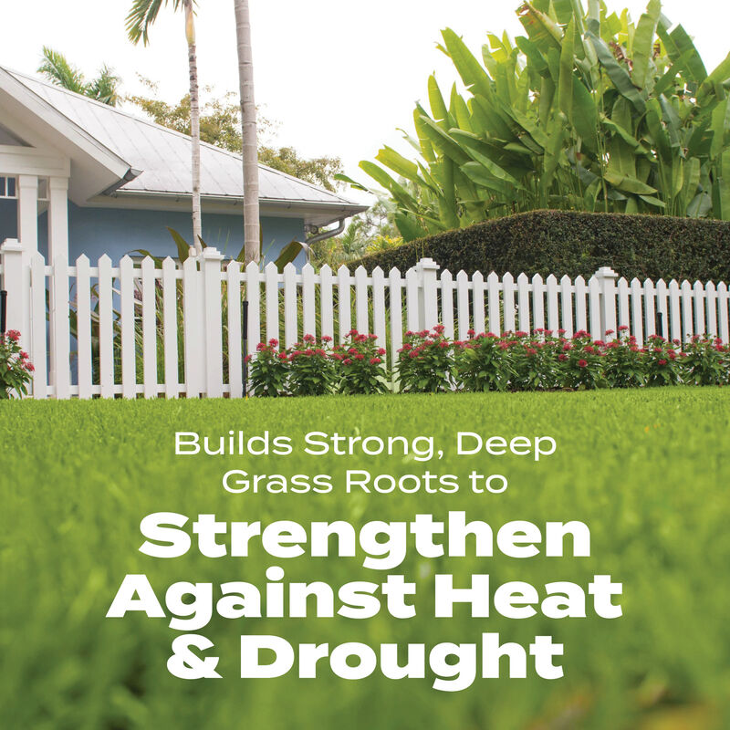 Scotts&reg; Turf Builder&reg; Bonus&reg; S Southern Weed & Feed₂ image number null