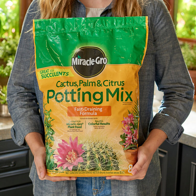 Miracle-Gro&reg; Cactus, Palm & Citrus Potting Mix image number null
