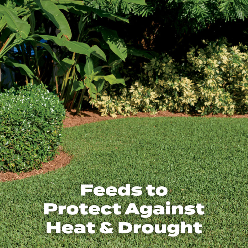 Scotts&reg; Southern Turf Builder&reg; Lawn Food image number null