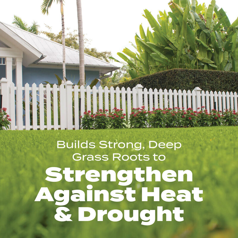 Scotts&reg; Turf Builder&reg; Bonus&reg; S Southern Weed & FeedF₂ - Florida Fertilizer image number null