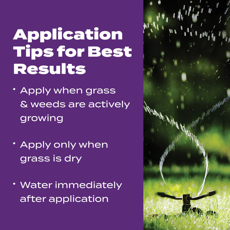 Scotts&reg; Turf Builder&reg; Bonus&reg; S Southern Weed & FeedF₂ - Florida Fertilizer image number null