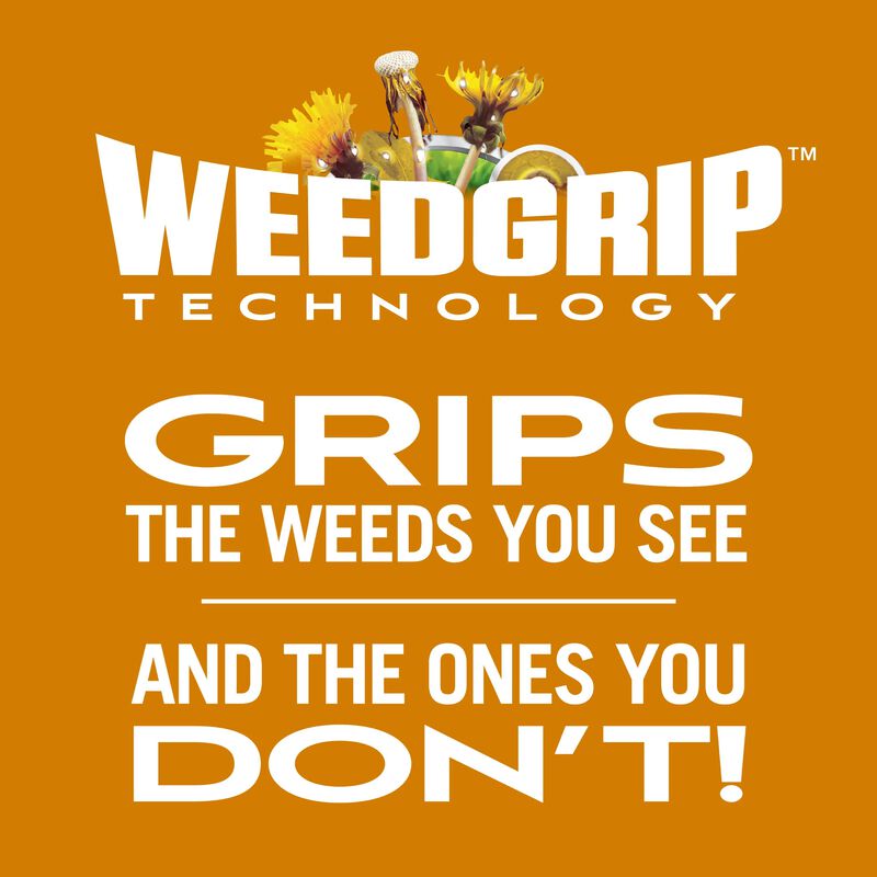 Scotts&reg; Turf Builder&reg; WinterGuard&reg; Fall Weed & Feed₅ image number null