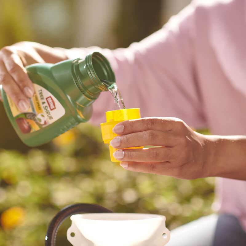 Ortho&reg; Tree & Shrub Fruit Tree Spray image number null