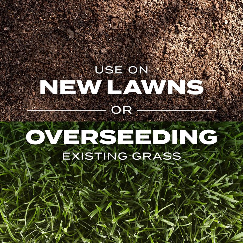 Scotts&reg; Turf Builder&reg; Rapid Grass&trade; Sun & Shade Mix image number null