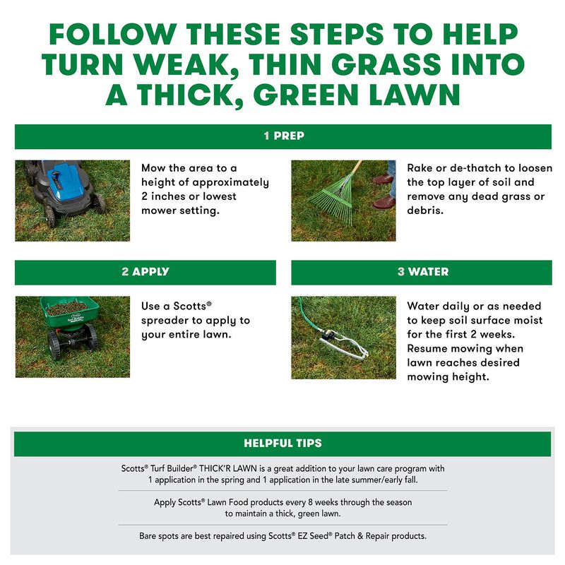 Scotts&reg; Turf Builder&reg; Thick'R Lawn&reg; Tall Fescue Mix image number null