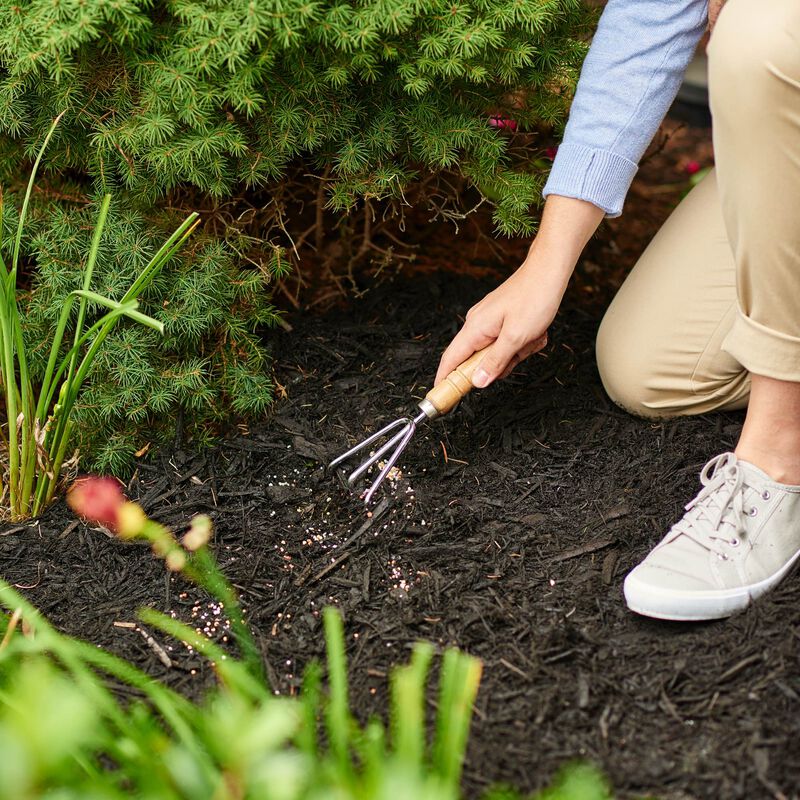 Scotts&reg; Evergreen Flowering Tree & Shrub Continuous Release Plant Food image number null