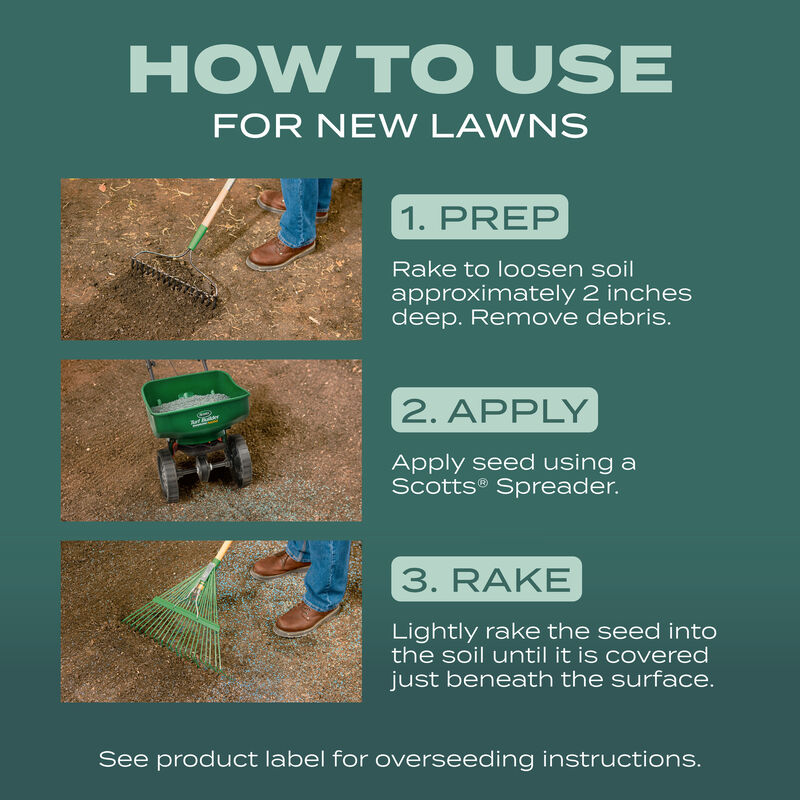 Scotts&reg; Turf Builder&reg; Grass Seed Dense Shade Mix image number null