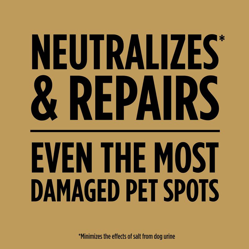 Scotts&reg; EZ Seed&reg; Dog Spot Repair Sun and Shade image number null