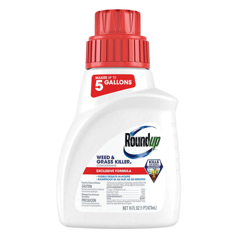 Roundup&reg; Weed & Grass Killer₄ Concentrate image number null