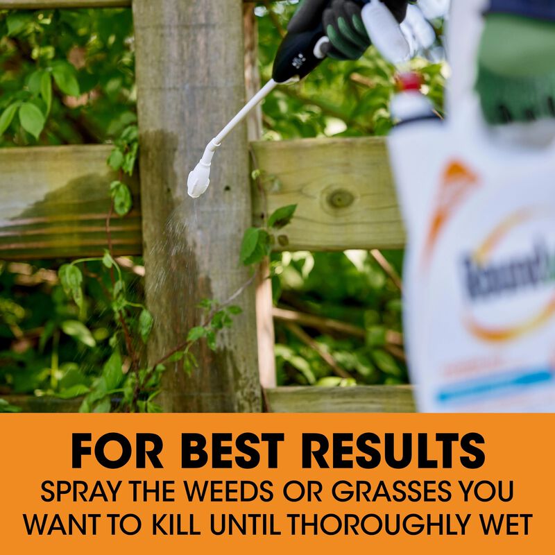 Roundup&reg; Poison Ivy Plus Tough Brush Killer₂ with Comfort Wand&reg; image number null