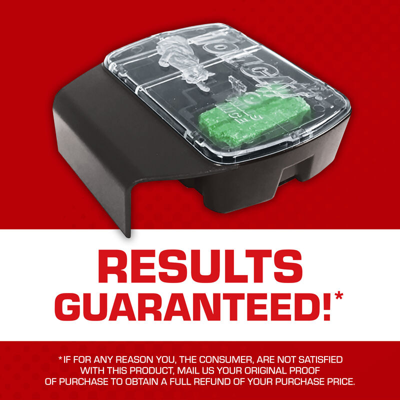 Tomcat&reg; Mouse Killer Child & Dog Resistant, Refillable Station image number null