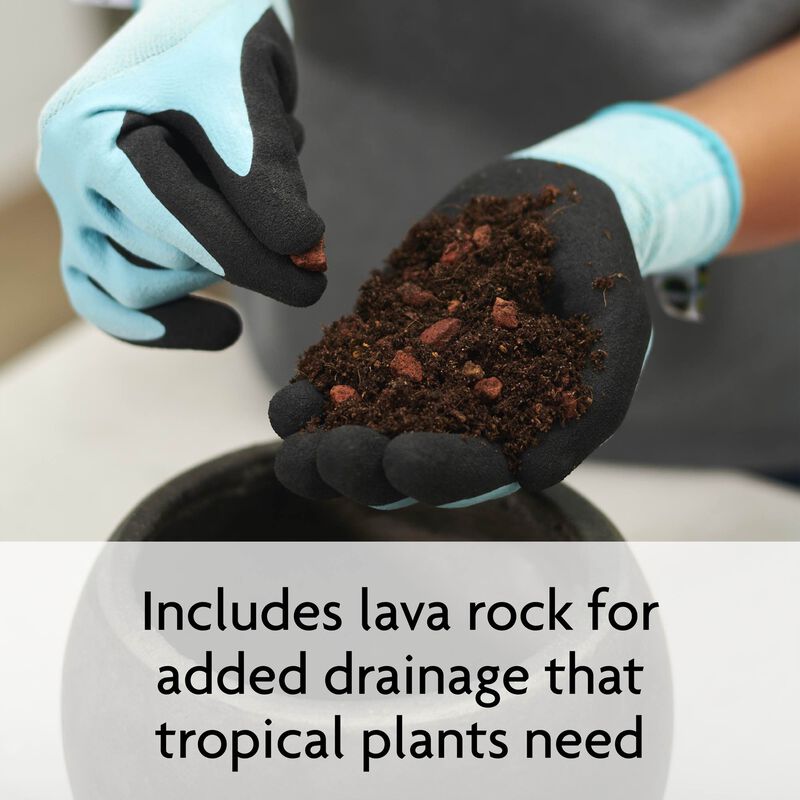 Miracle-Gro&reg; Tropical Potting Mix image number null