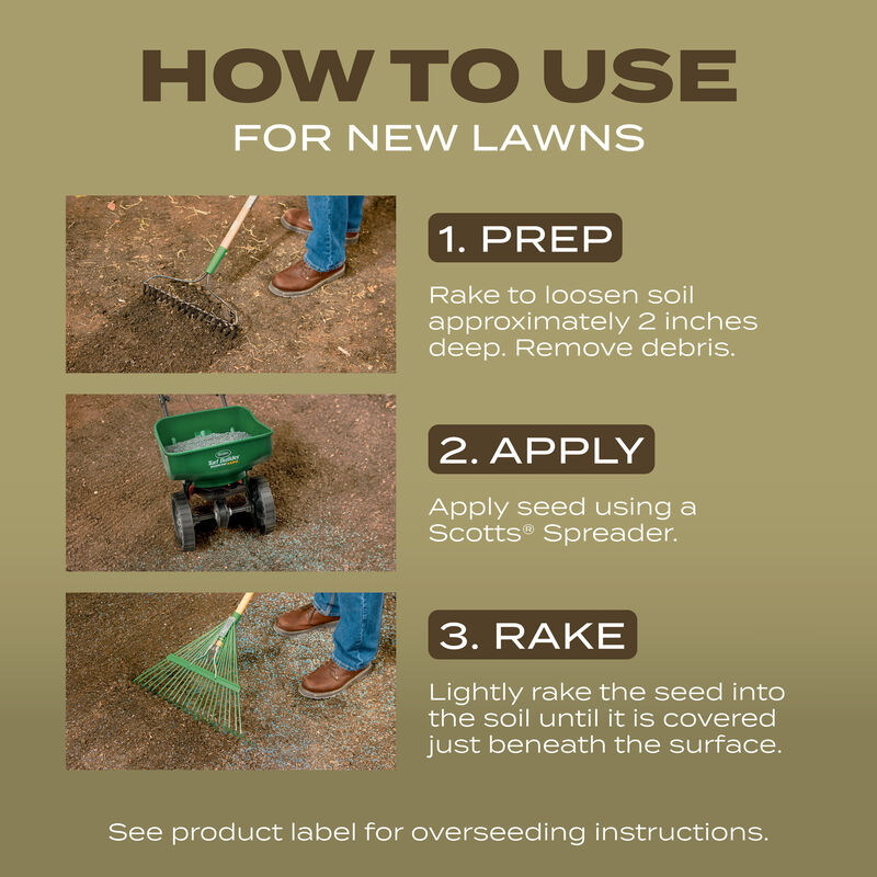 Scotts&reg; Turf Builder&reg; Grass Seed Southern Gold&reg; Mix for Tall Fescue Lawns image number null