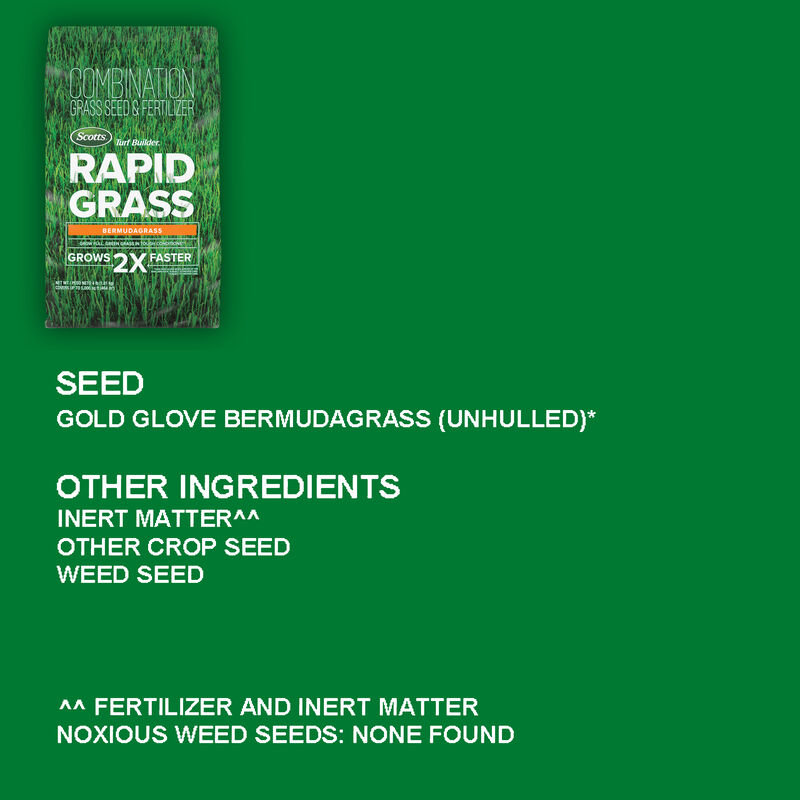 Scotts&reg; Turf Builder&reg; Rapid Grass&trade; Bermudagrass image number null