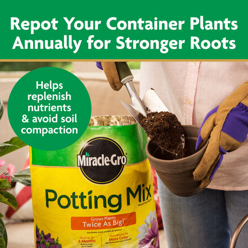Miracle-Gro&reg; Potting Mix image number null