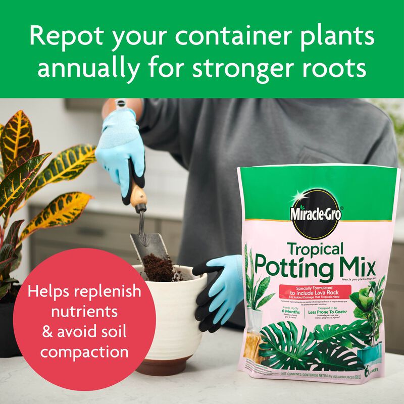 Miracle-Gro&reg; Tropical Potting Mix image number null