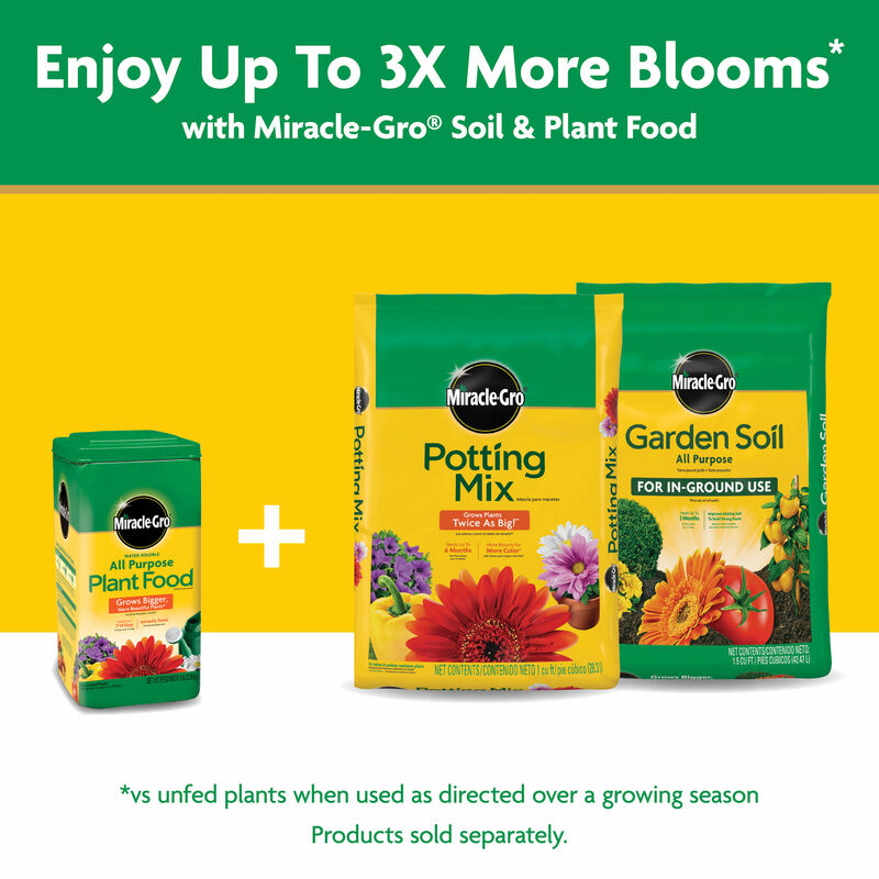 Miracle-Gro&reg; Water Soluble All Purpose Plant Food image number null