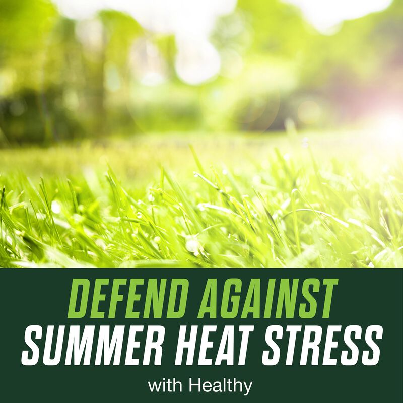 Scotts&reg; Turf Builder&reg; Healthy Plus Lawn FoodFL image number null