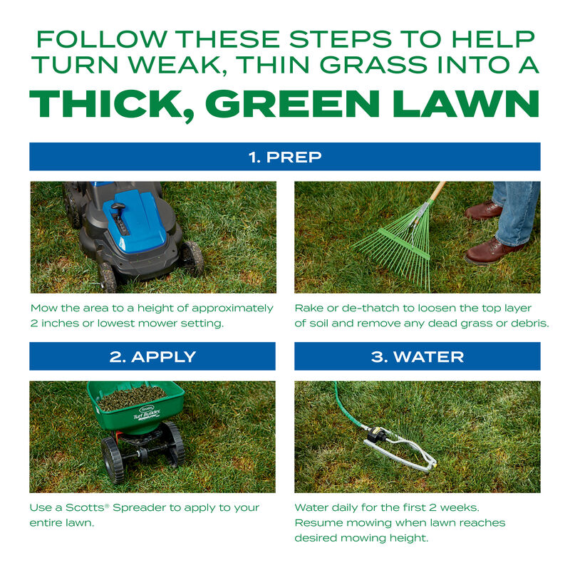 Scotts&reg; Turf Builder&reg; Thick'R Lawn&reg; Sun & Shade image number null