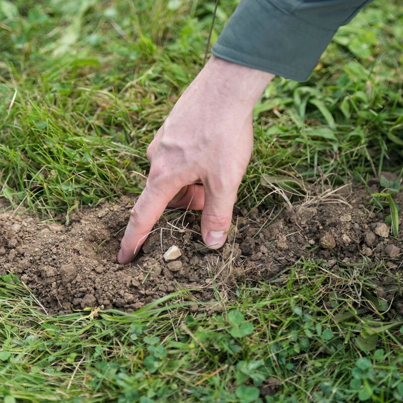 Tomcat&reg; Mole Killer image number null