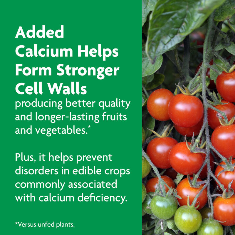 Miracle-Gro&reg; Shake 'N Feed&reg; Tomato, Fruit & Vegetable Plant Food image number null