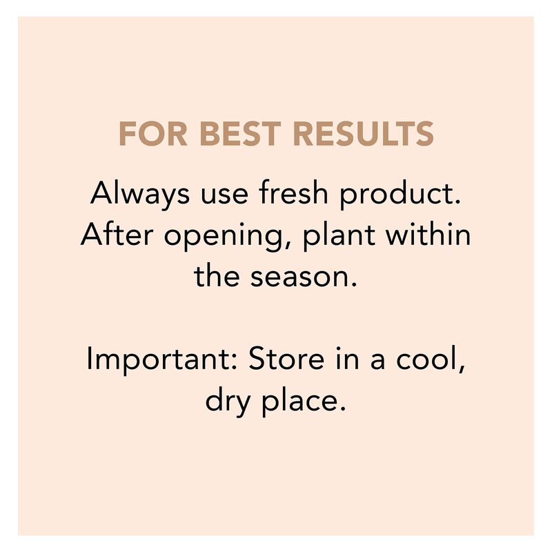 Scotts&reg; Turf Builder&reg; Clover Lawn image number null