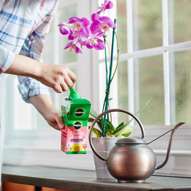 Miracle-Gro&reg; Water Soluble Orchid Food image number null